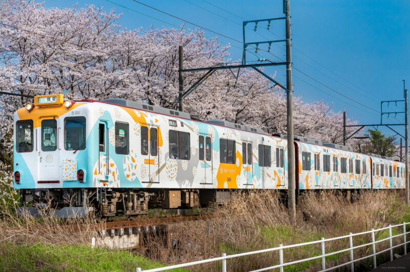 岐阜｜ア ヒラガデザイン｜電車グラフィックデザイン・ラッピング｜養老鉄道